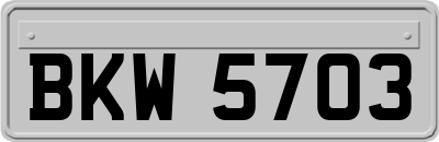 BKW5703
