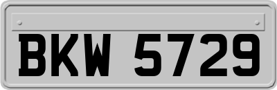 BKW5729