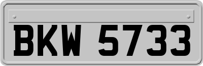 BKW5733