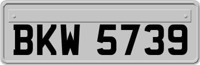 BKW5739