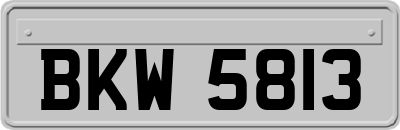 BKW5813