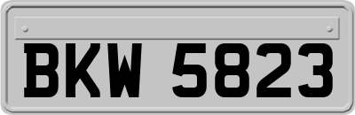 BKW5823
