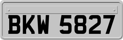 BKW5827