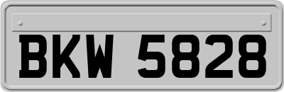 BKW5828