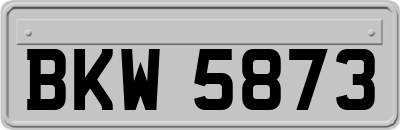 BKW5873