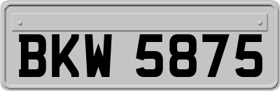 BKW5875