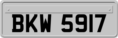 BKW5917