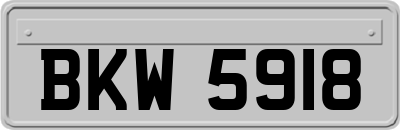 BKW5918