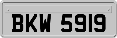 BKW5919