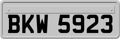 BKW5923