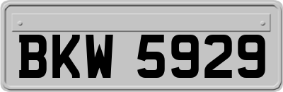 BKW5929