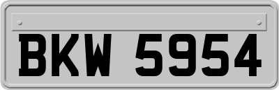 BKW5954