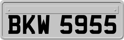BKW5955