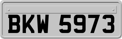 BKW5973