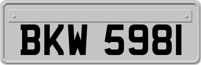 BKW5981