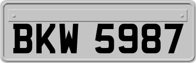 BKW5987