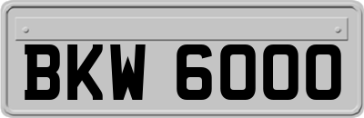 BKW6000