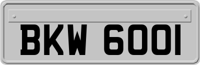 BKW6001