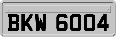 BKW6004