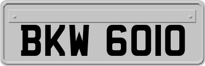 BKW6010