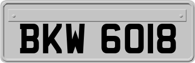 BKW6018