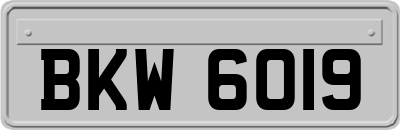 BKW6019