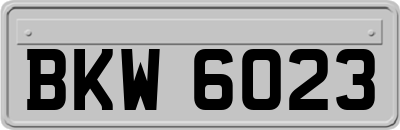 BKW6023