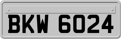 BKW6024