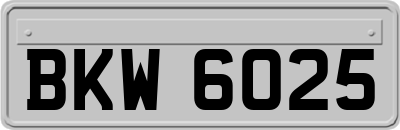 BKW6025