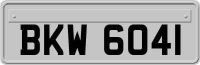 BKW6041