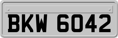 BKW6042