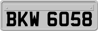 BKW6058