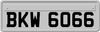 BKW6066