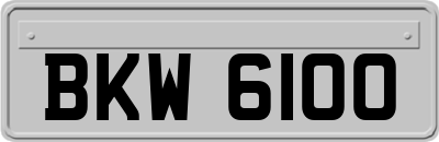 BKW6100