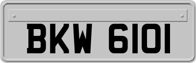 BKW6101