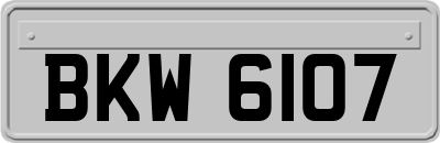 BKW6107