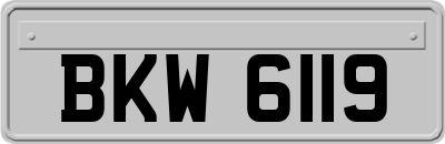 BKW6119