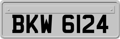 BKW6124