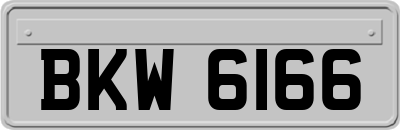 BKW6166