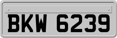 BKW6239