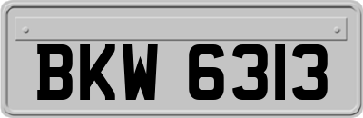 BKW6313