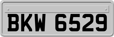 BKW6529