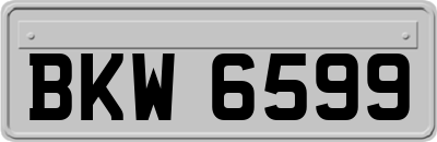 BKW6599