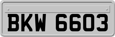 BKW6603