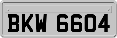 BKW6604