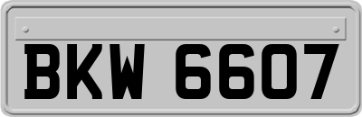 BKW6607