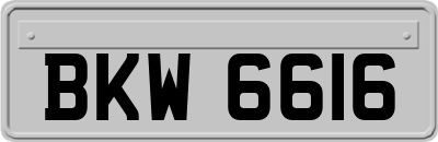 BKW6616