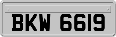 BKW6619