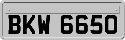 BKW6650
