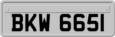 BKW6651